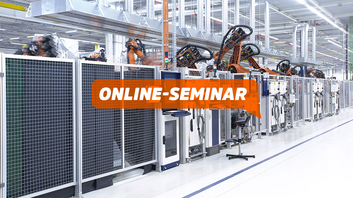 Online-Seminar Schutzsysteme